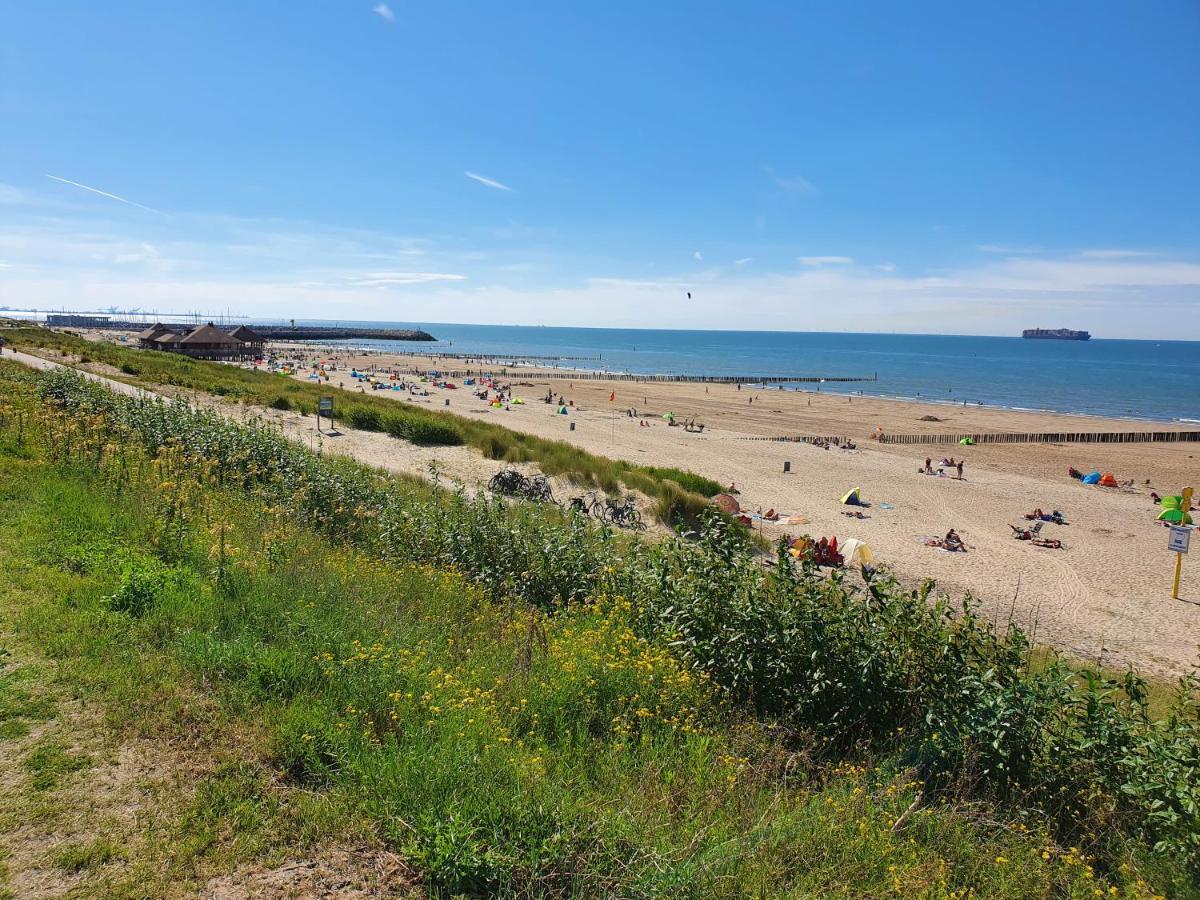 Le Normandy 5Star Cadzand Exterior foto